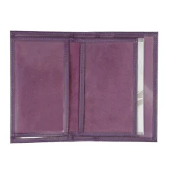 Frandi Etui carte grise -><noscript><img width=