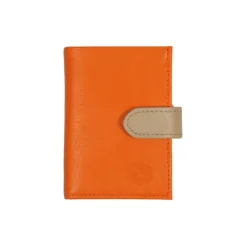 Frandi Porte carte -><noscript><img width=